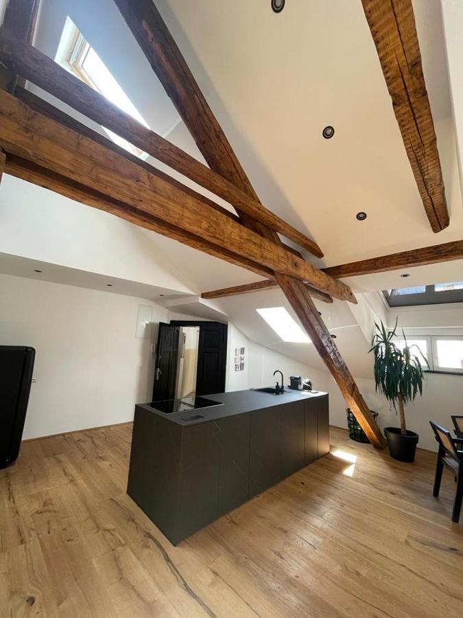 Rooftop Loft Apartment Split