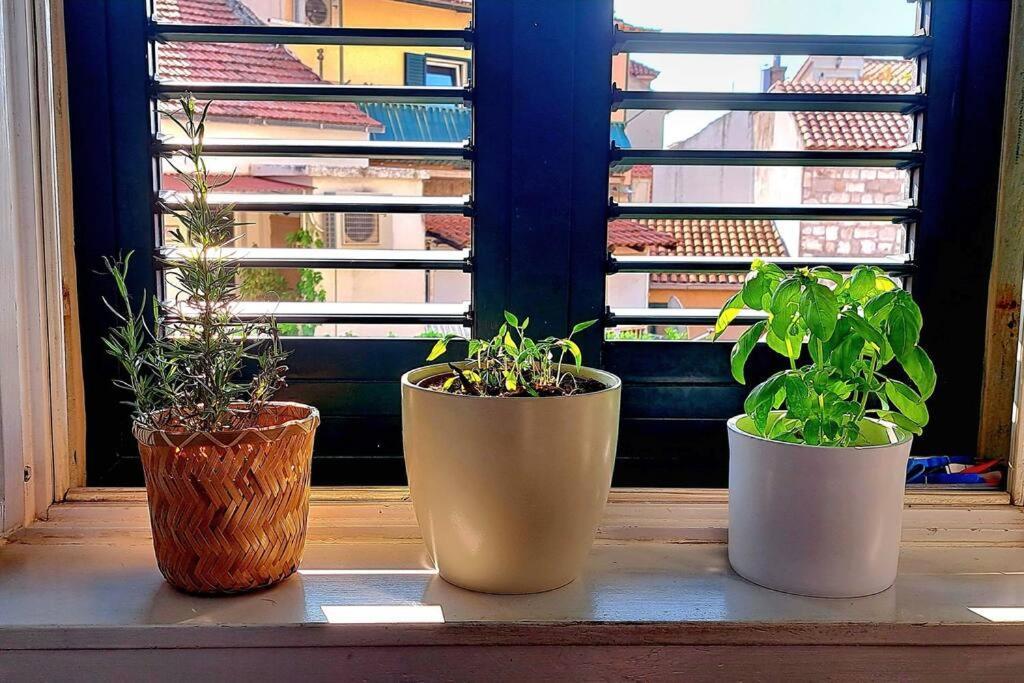 Apartment Ora, On The Sea. *