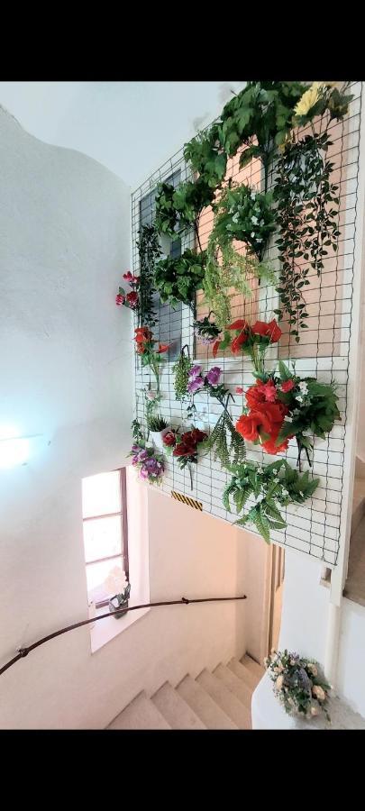 3m Peristil Apartment Split