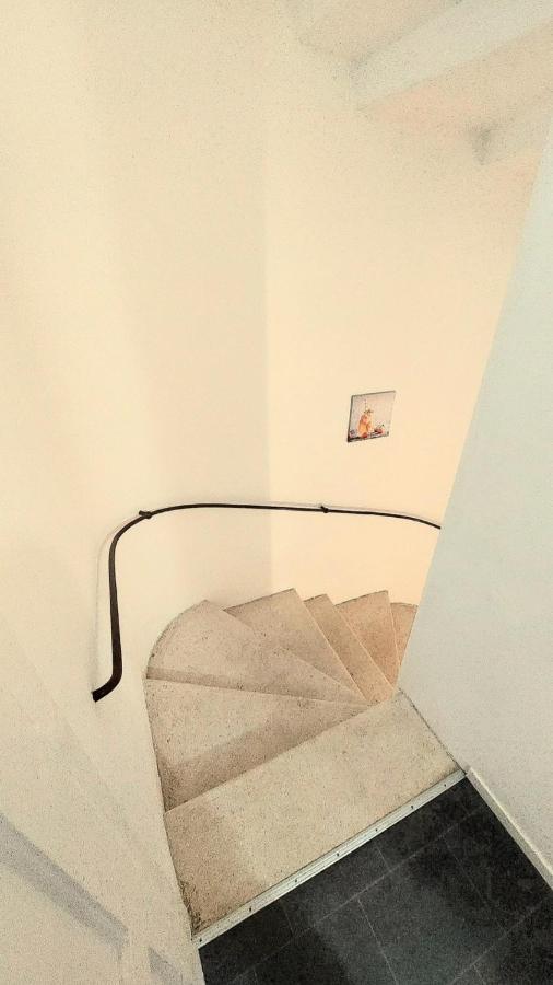Apartment 3m Peristil *