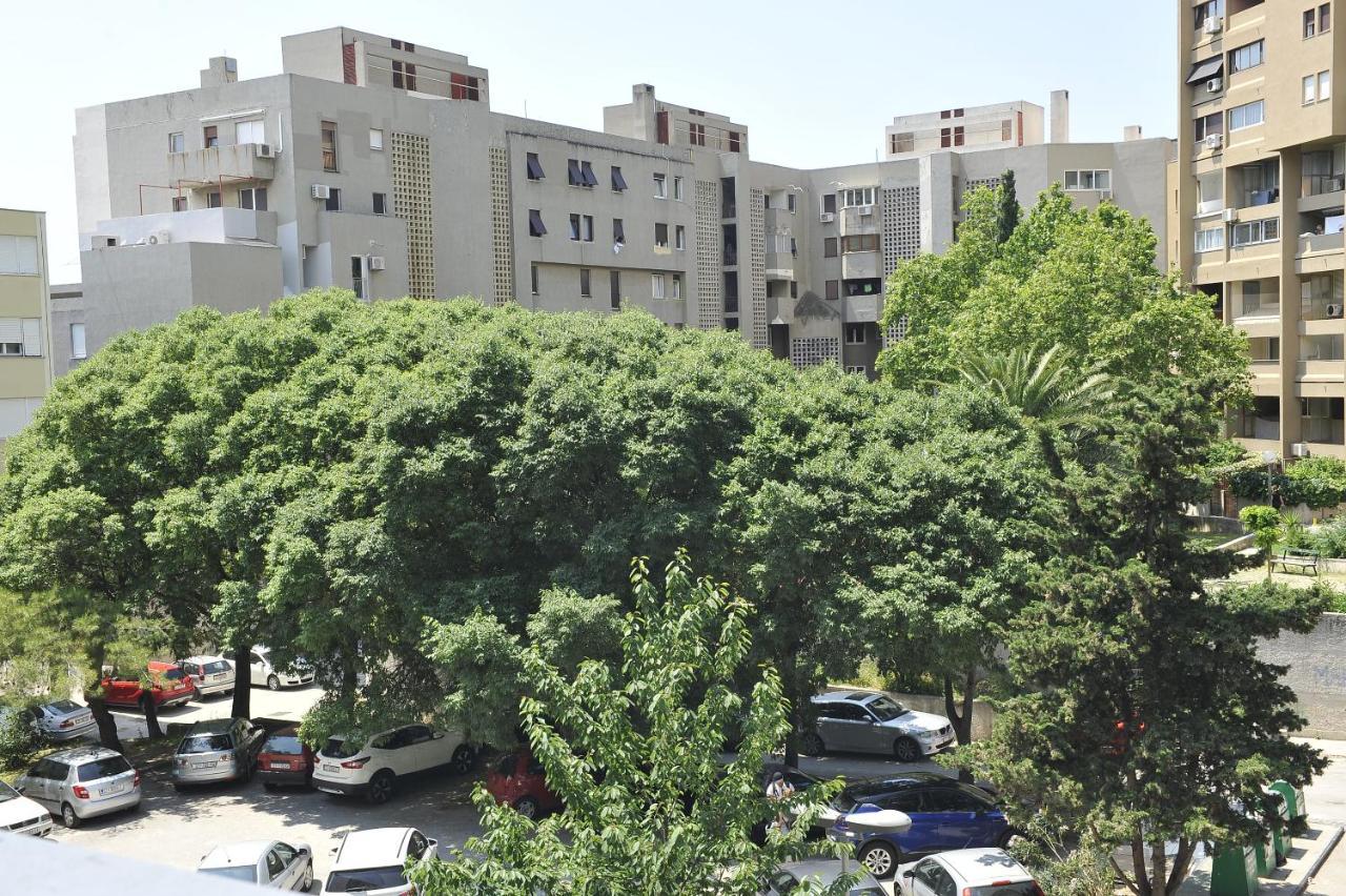Carruba Apartment Split