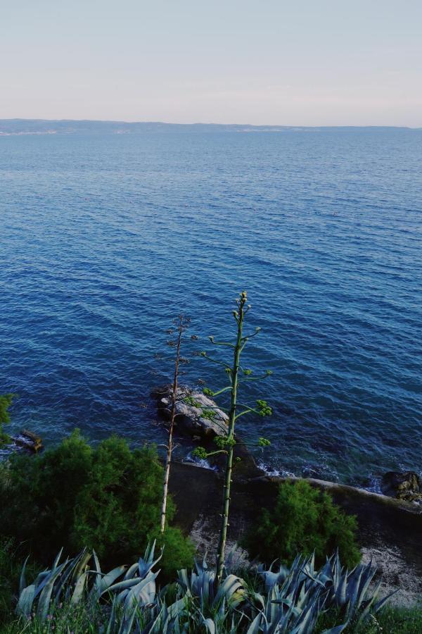 Apartman Doel Split