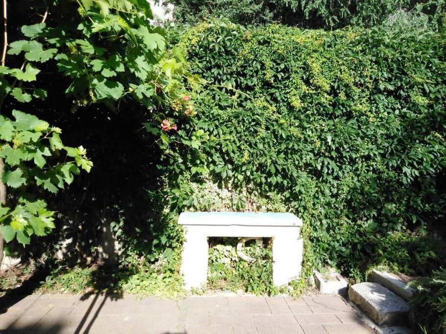 Emaus Garden - Center & 2 Bth Apartman