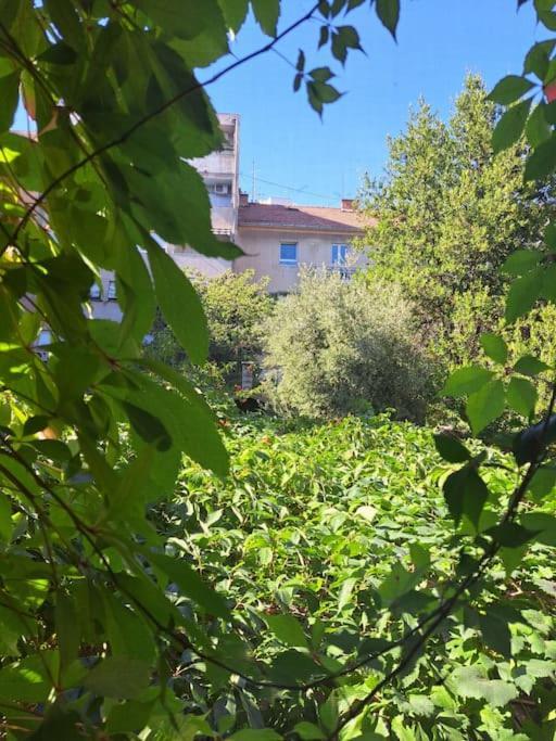 Emaus Garden - Center & 2 Bth Apartman