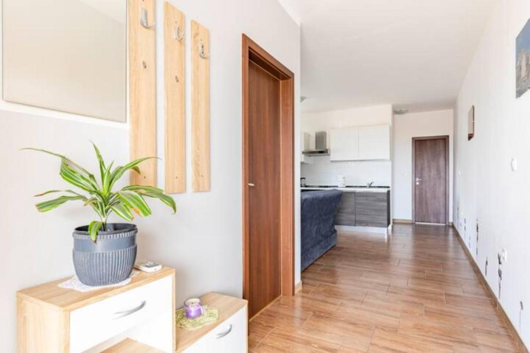 Ivancica Holiday home *