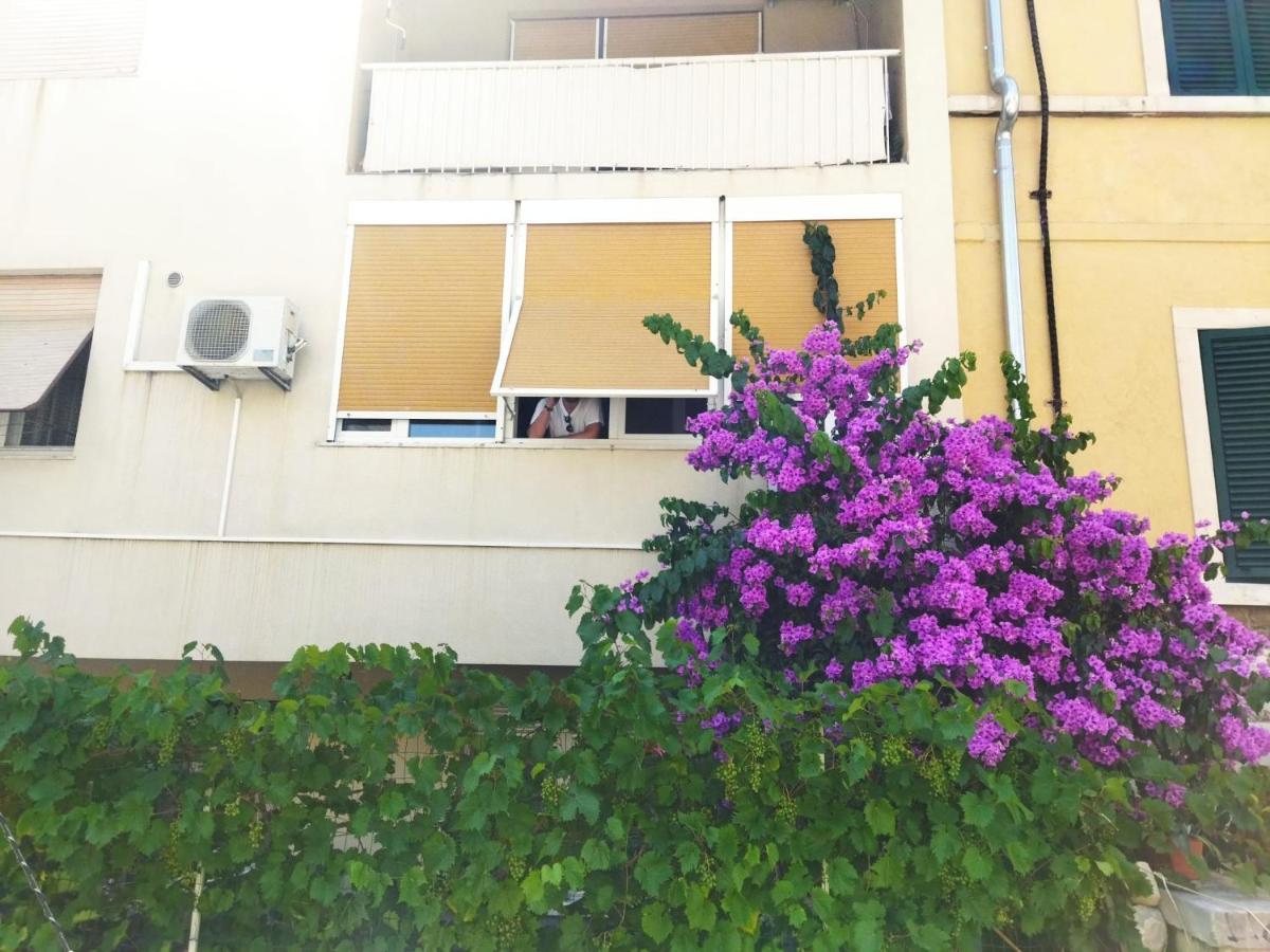 Lucac Manus Apartment *