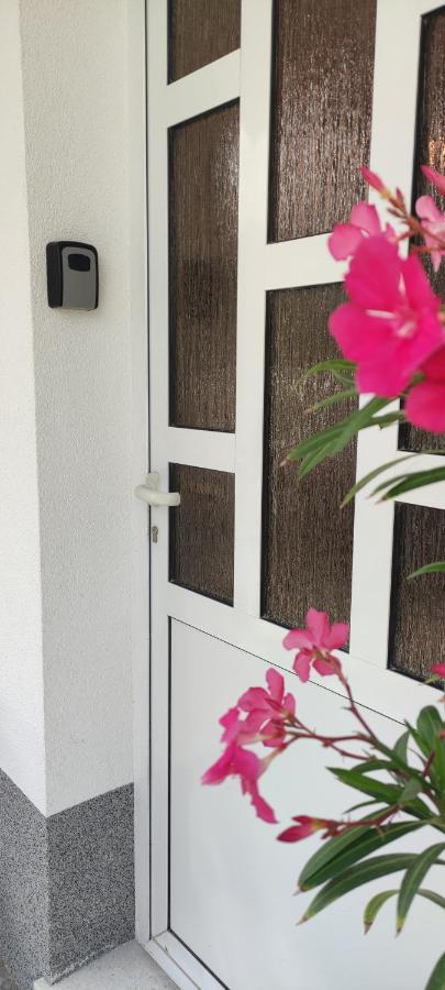 Ante Apartamento
