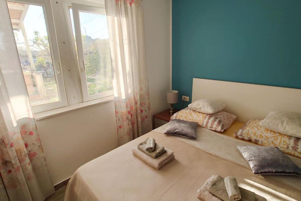 Cozy & Bright In Apartment Split