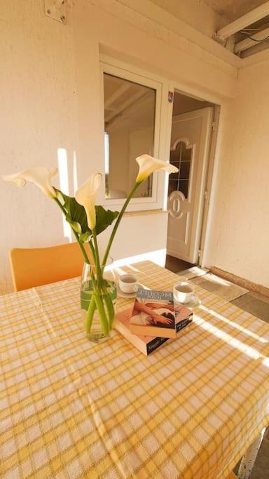 Apartment Cozy & Bright In *