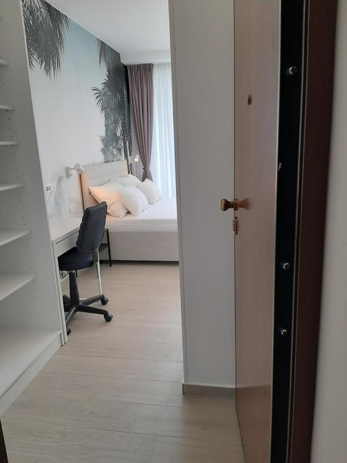 New Sunny With Balcony, Center Apartment Split