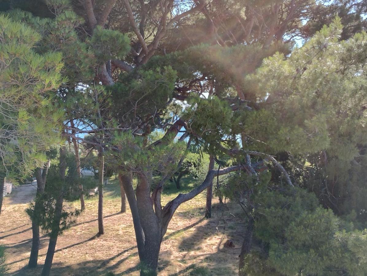 Old Captain's - In A Pine Wood By The Sea And Tennis Courts Appartement Split