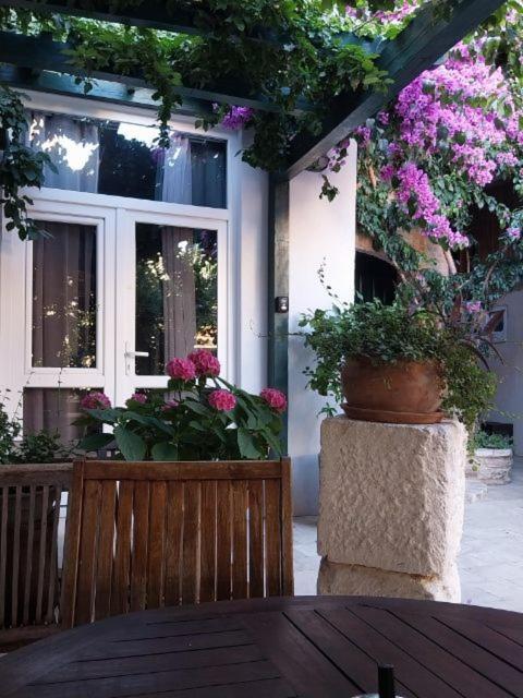 Oaza Appartement