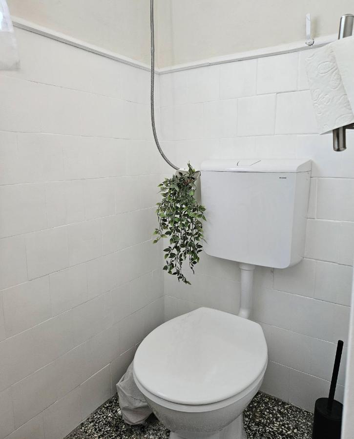 Quiet 2br Apt Apartment Split