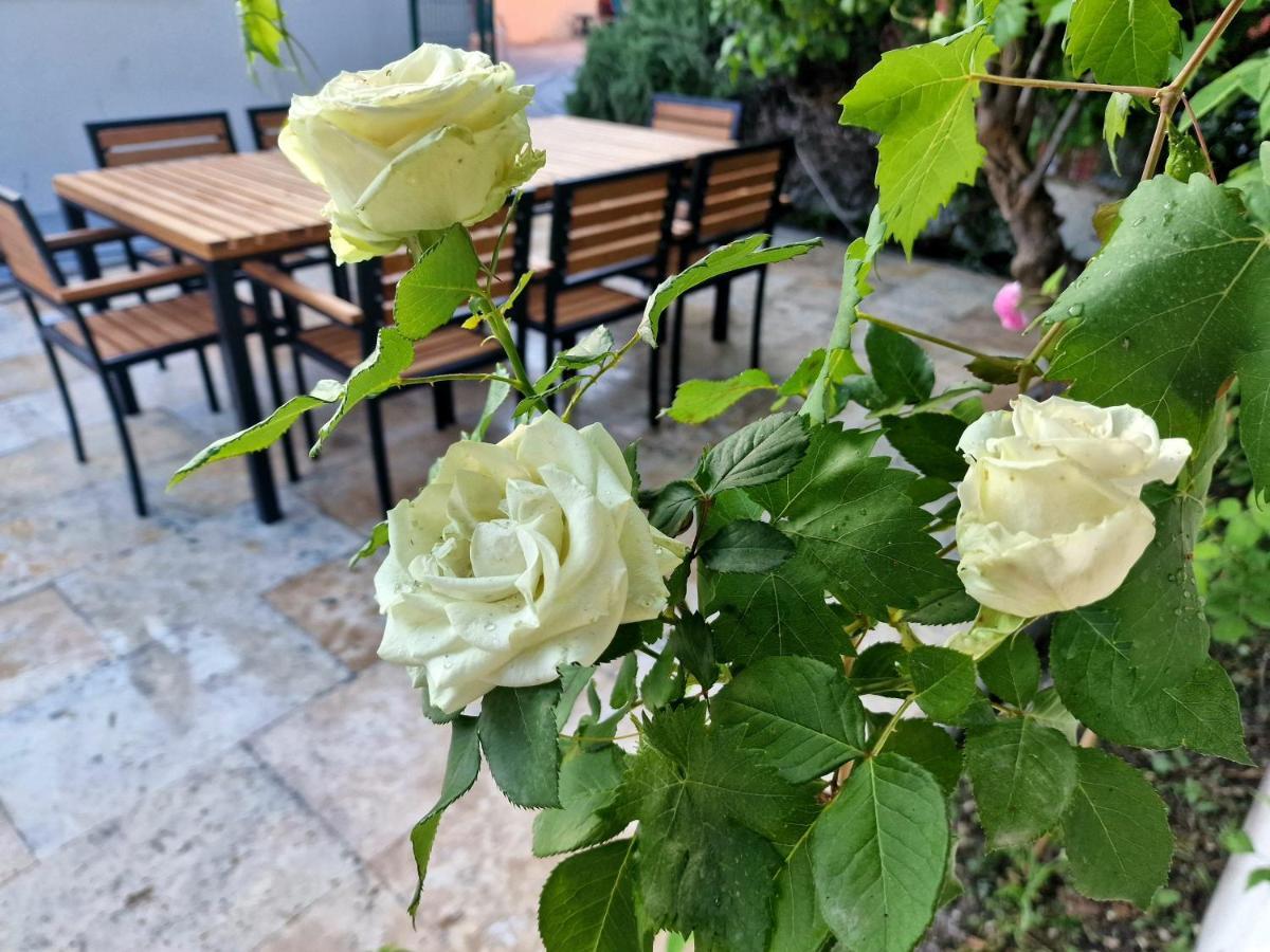 Premium Alba Rosa Split