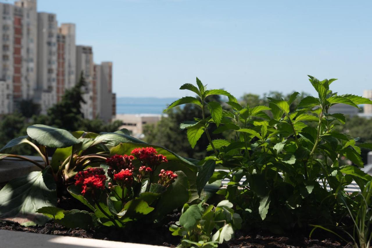 Sunnyrose - Walking Distance From Znjan - Free Public Parking - Huge Balcony * Split