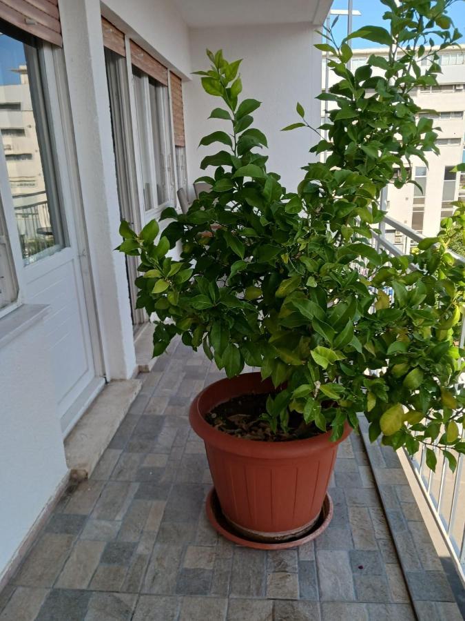 With Private Toilet And Terrace In Center In Shared Apartment Split