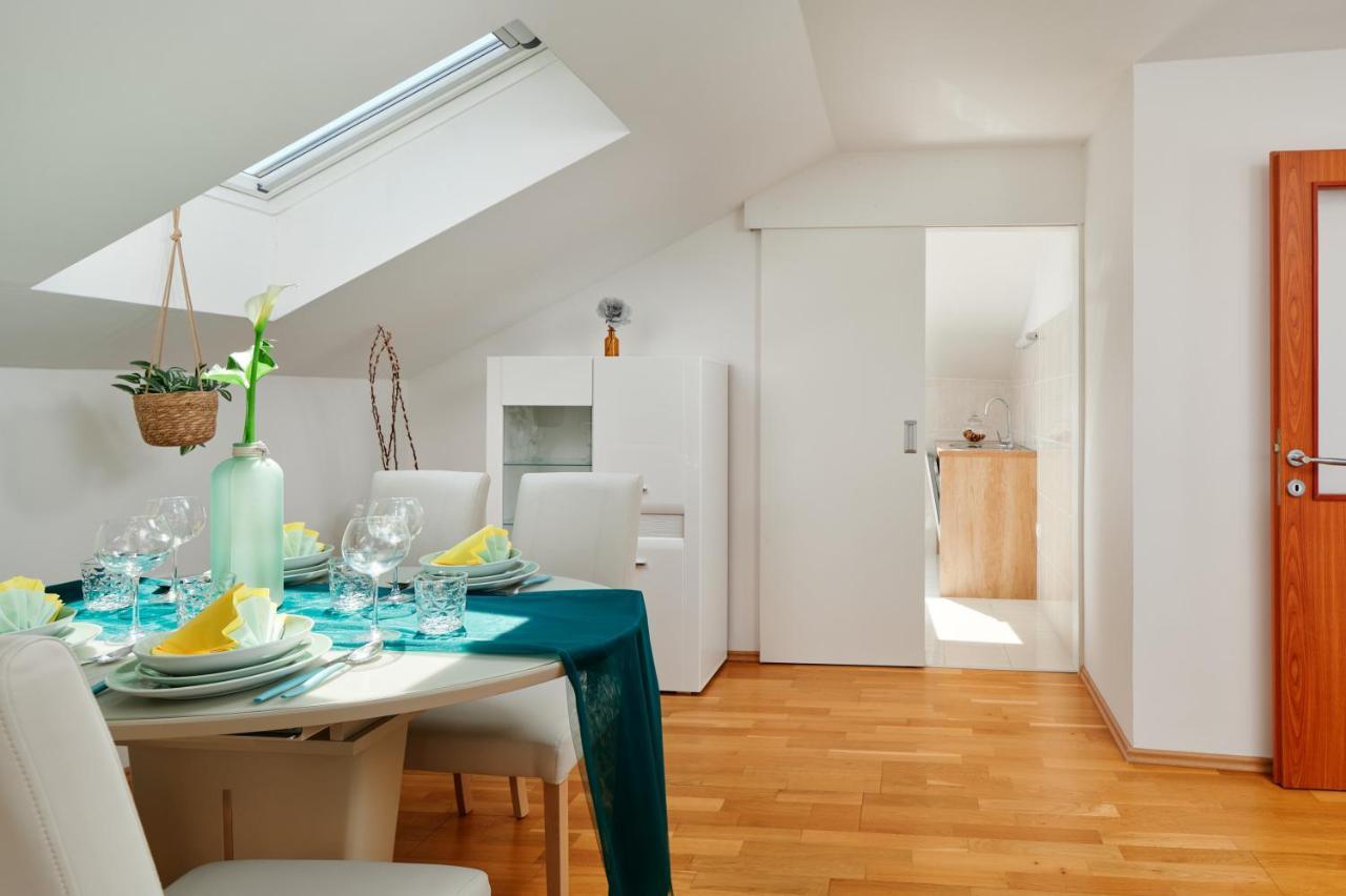Modern & Spacious Rooftop With Natual Sunlight *