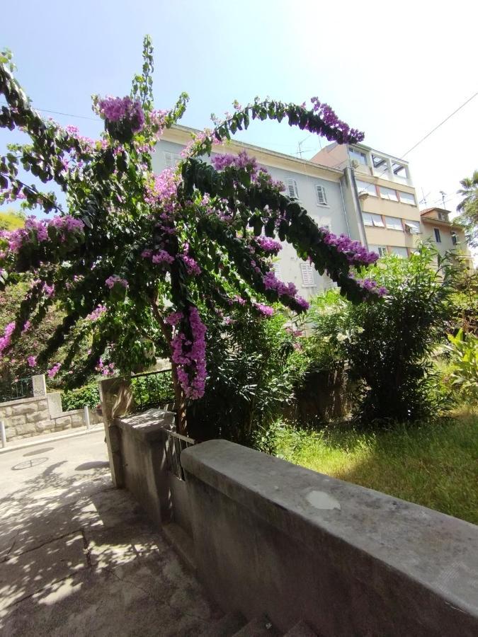 Bugenvilija Split
