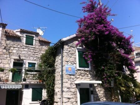 Guest house Dalmatian