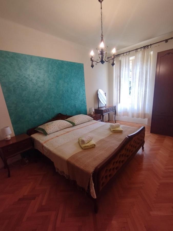 Bugenvilija * Split