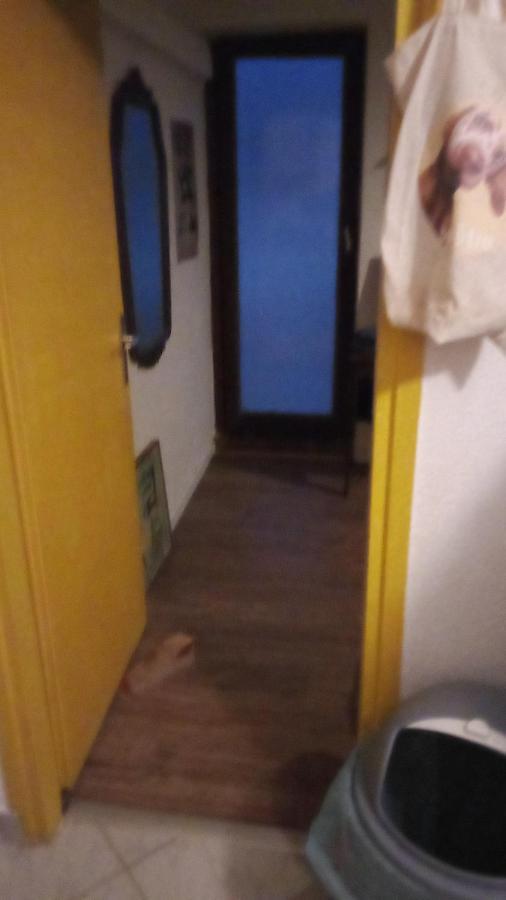Apartment Double With Shared Bathroom