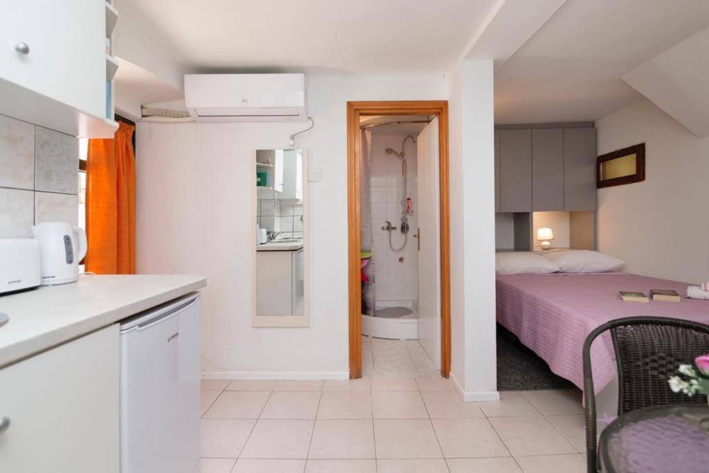 Central Rose In Hearth Of Apartment