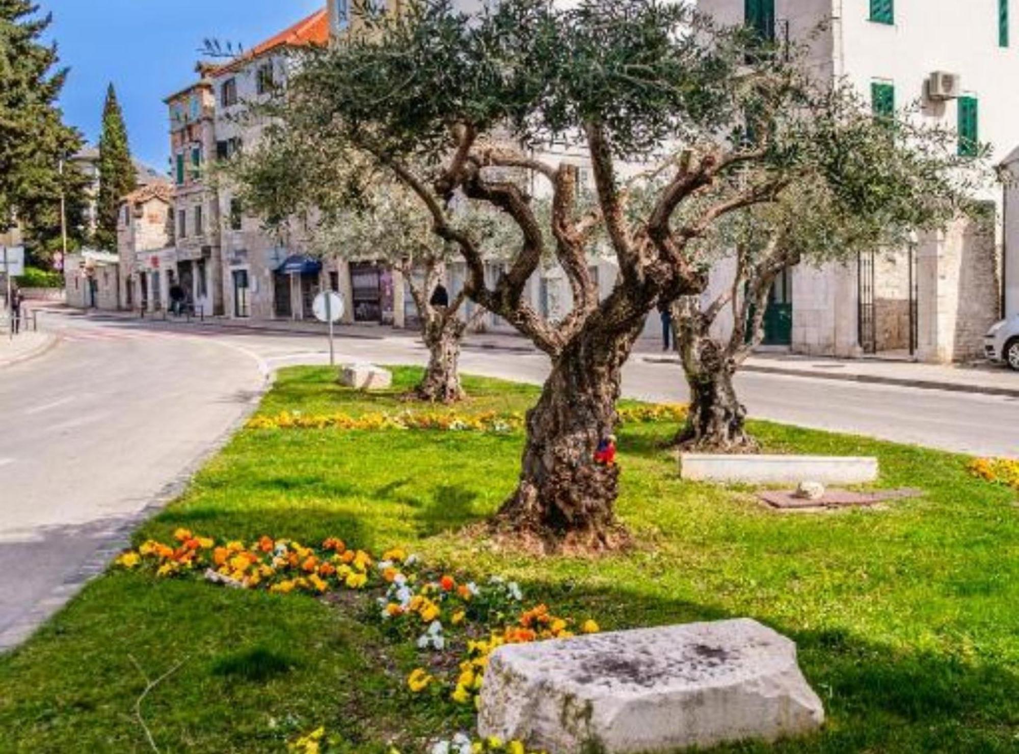 Centar Manus Apartamento Split