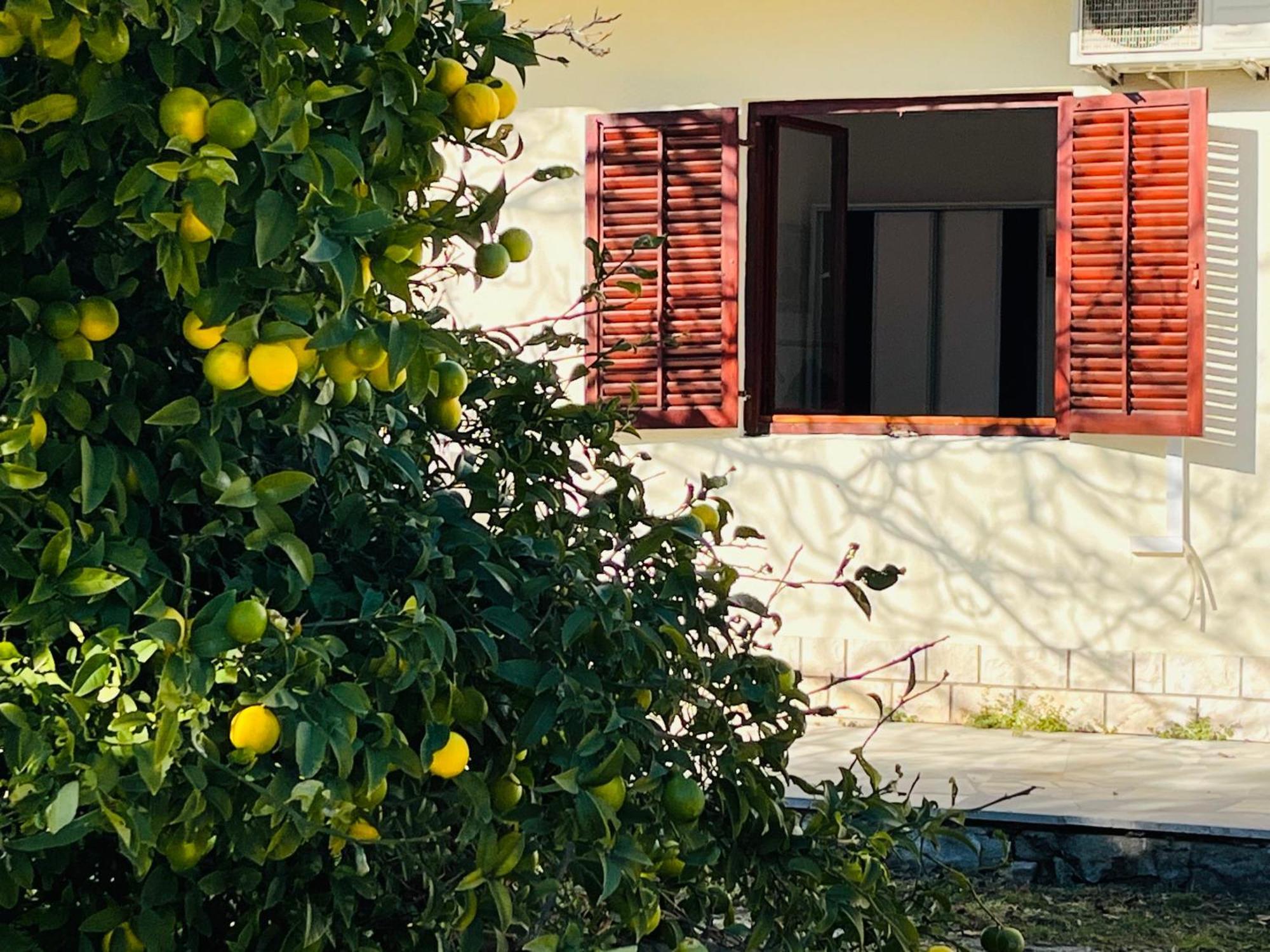Beachfront Drazen, With Garden And Parking Apartment *