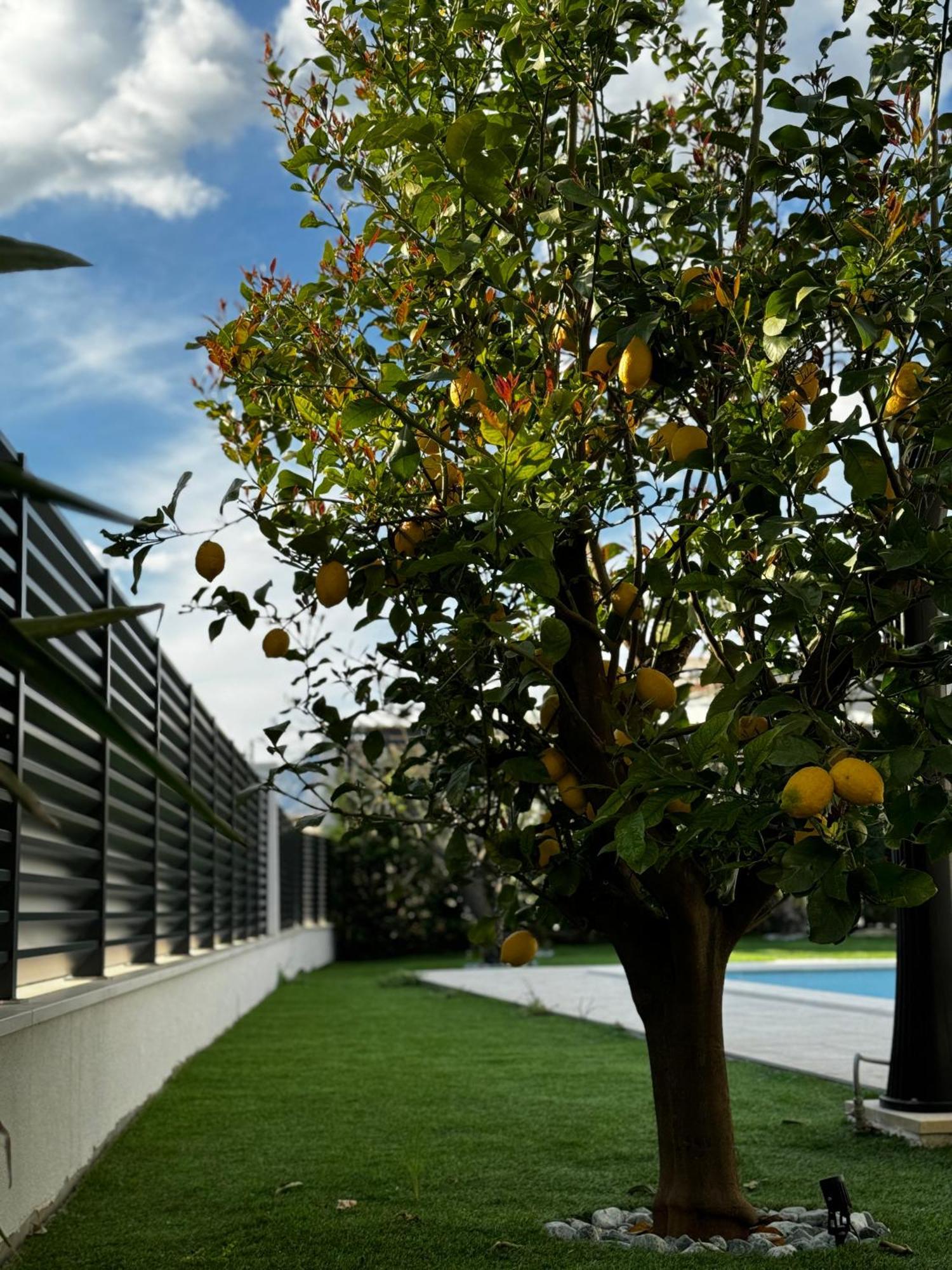 Villa Margita *