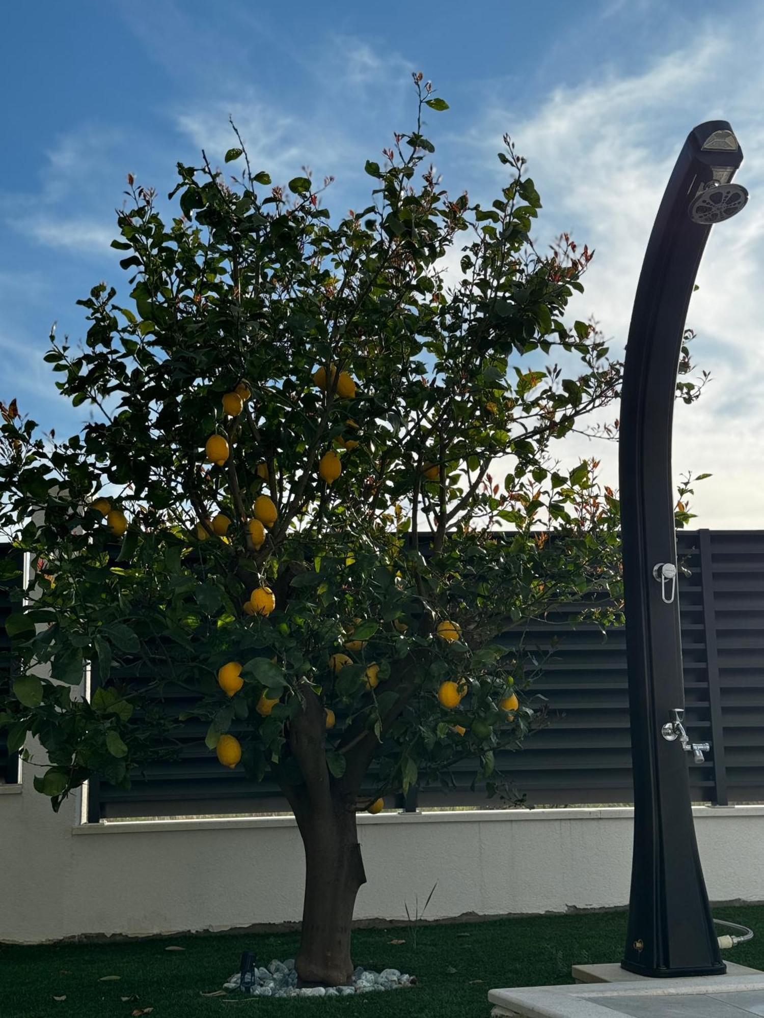 Villa Margita Split