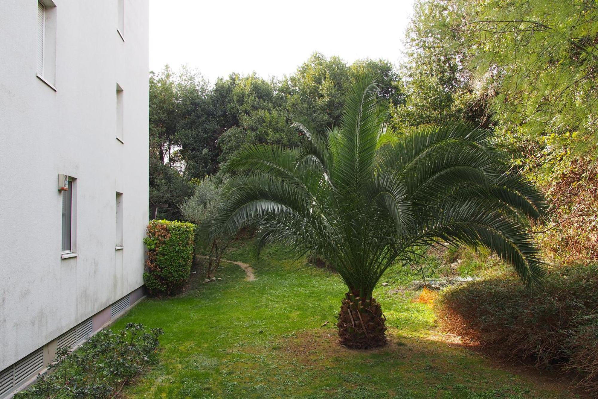 Appartement Charming Terrace