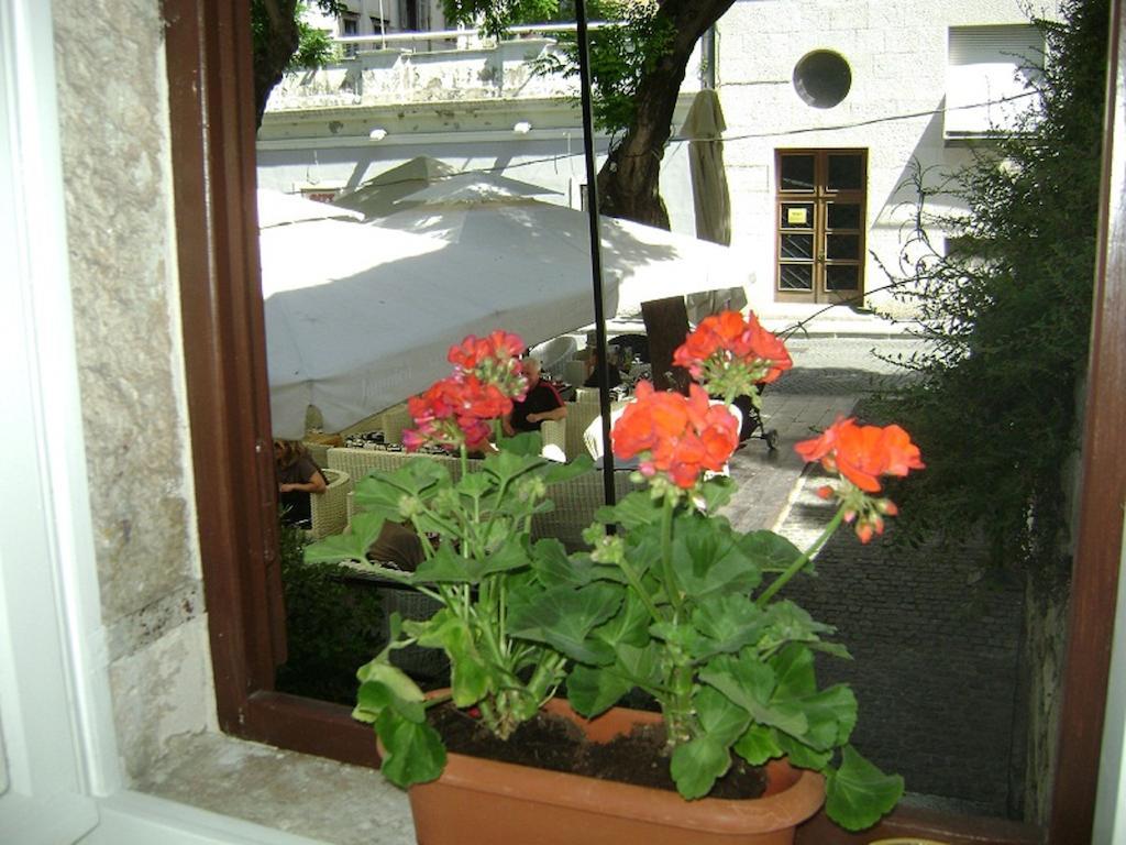 Pistura *