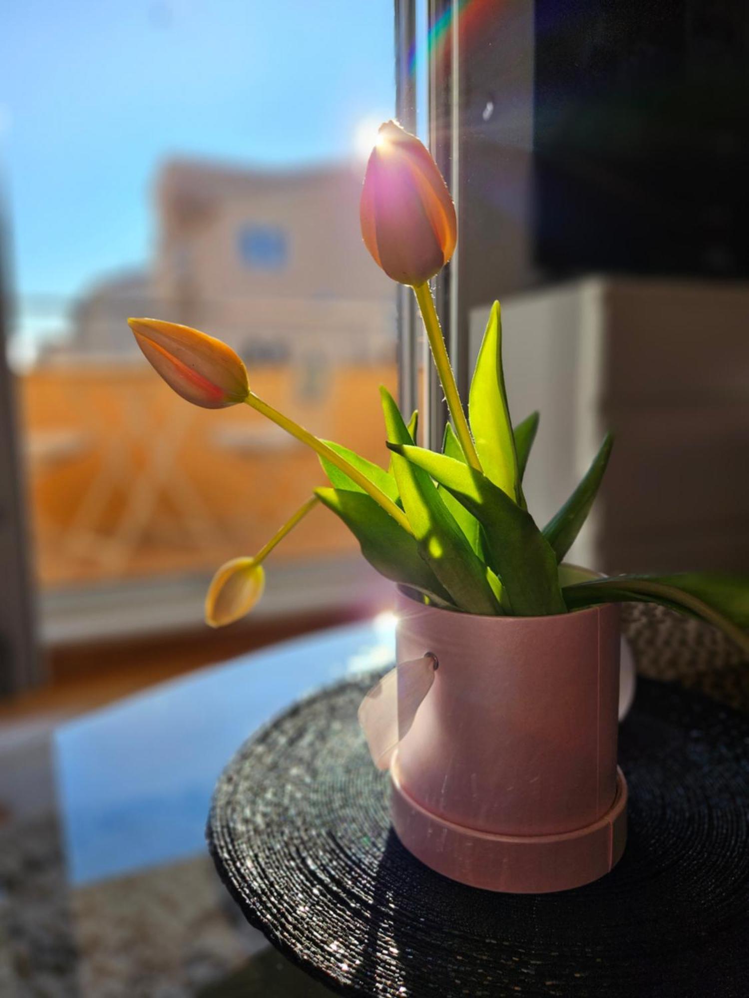 Apartman Moreno