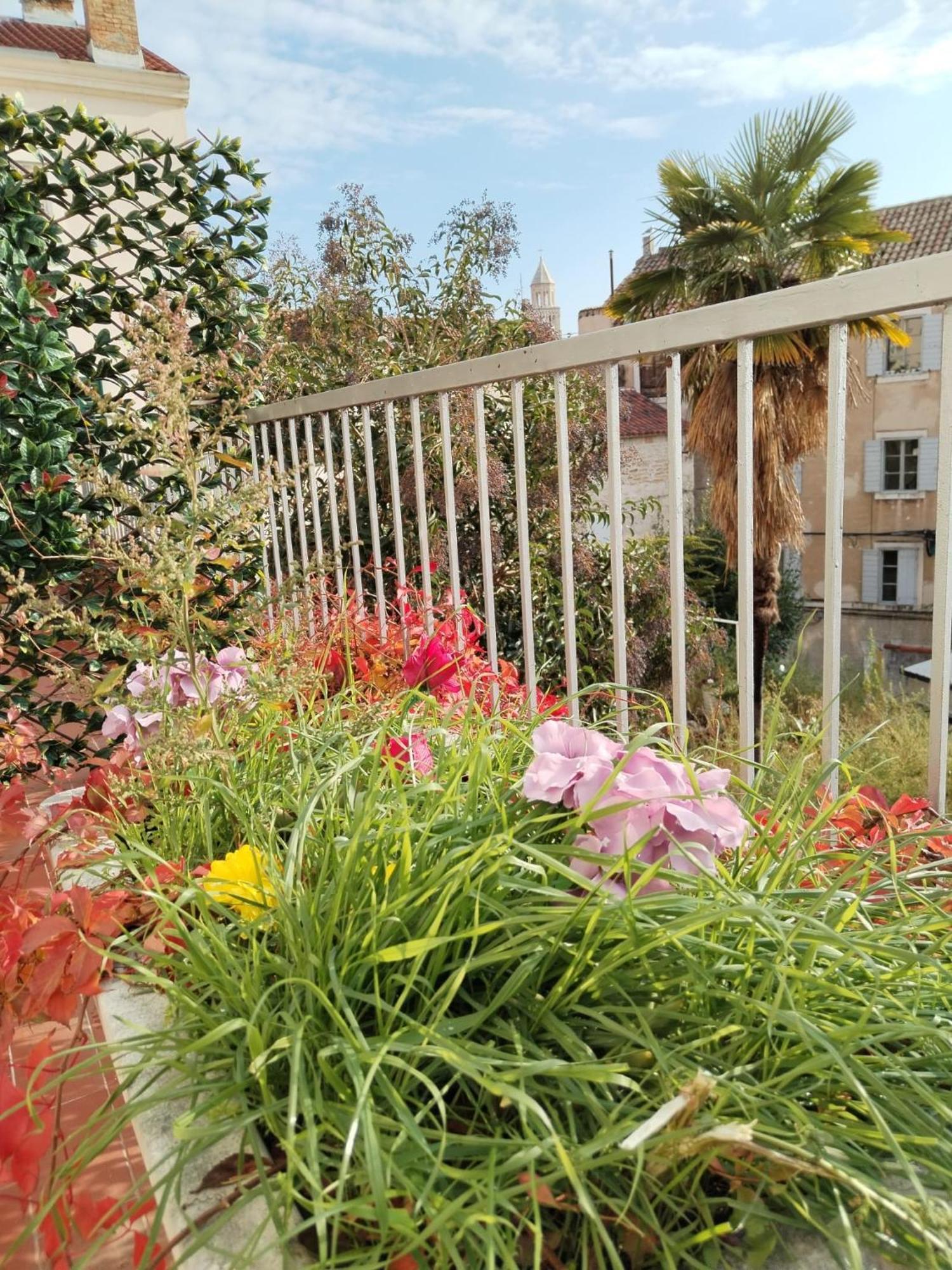 Apartman Sunny Terrace