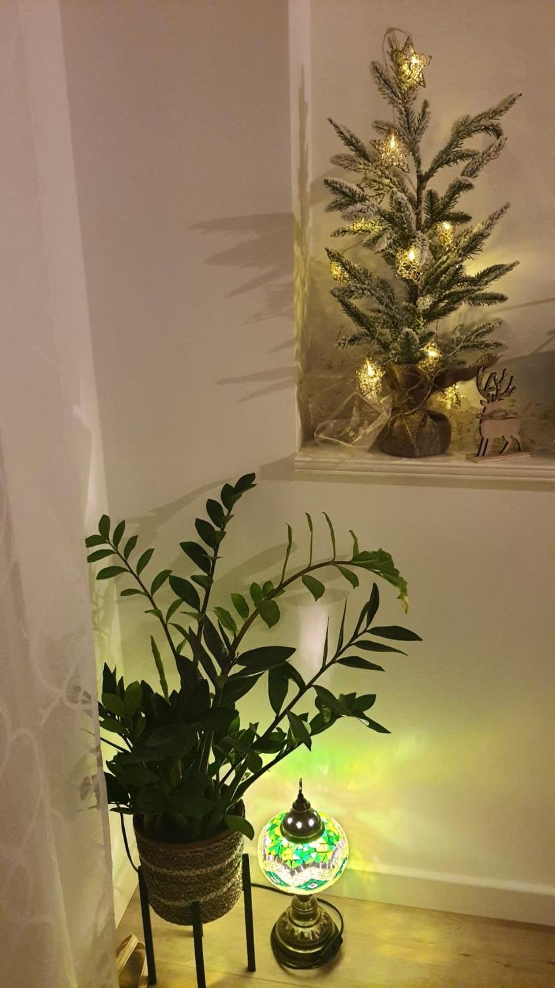 Lili Appartement