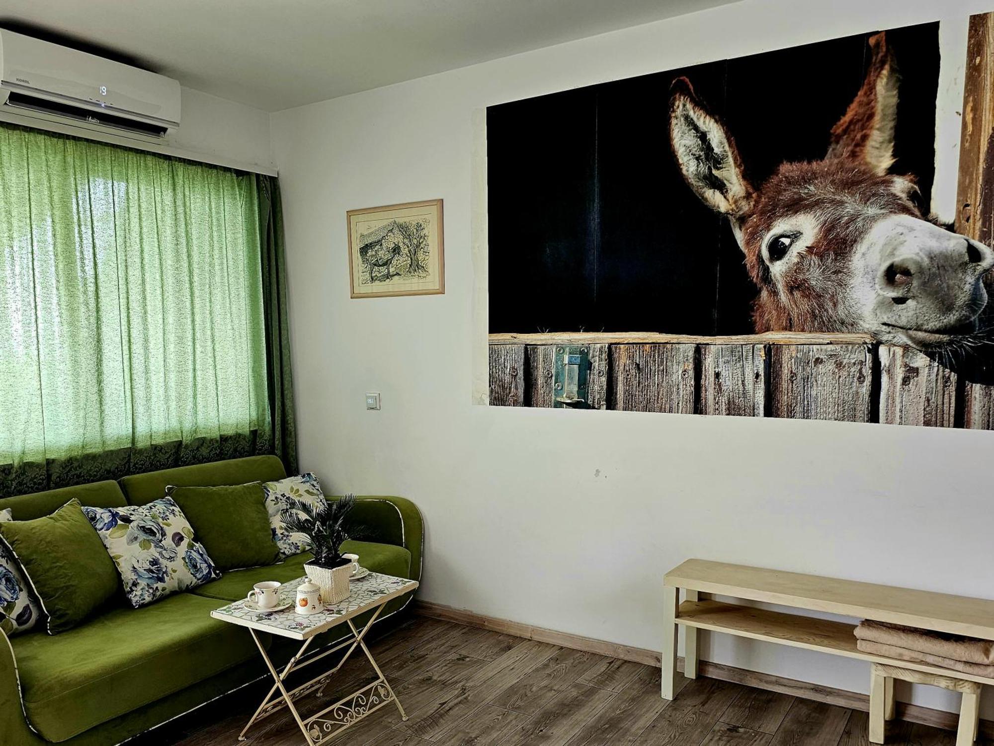 With A Magical View Apartment *