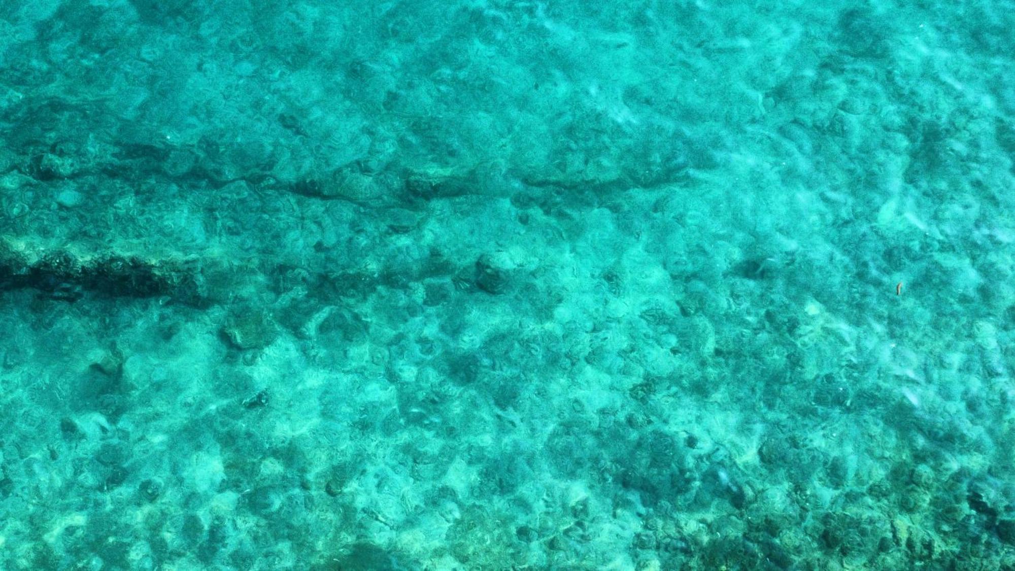 Amfora Maris Split