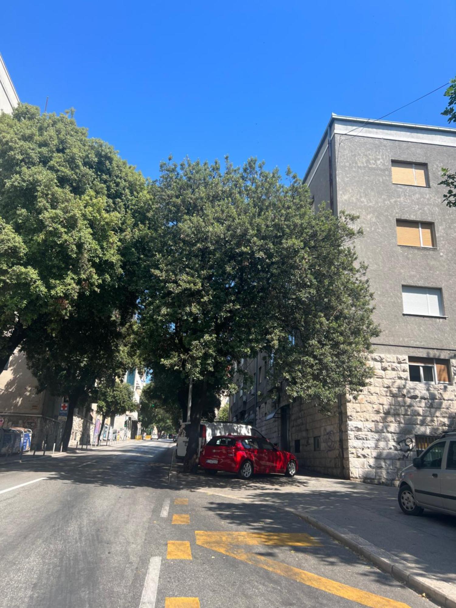Apartment Anachi