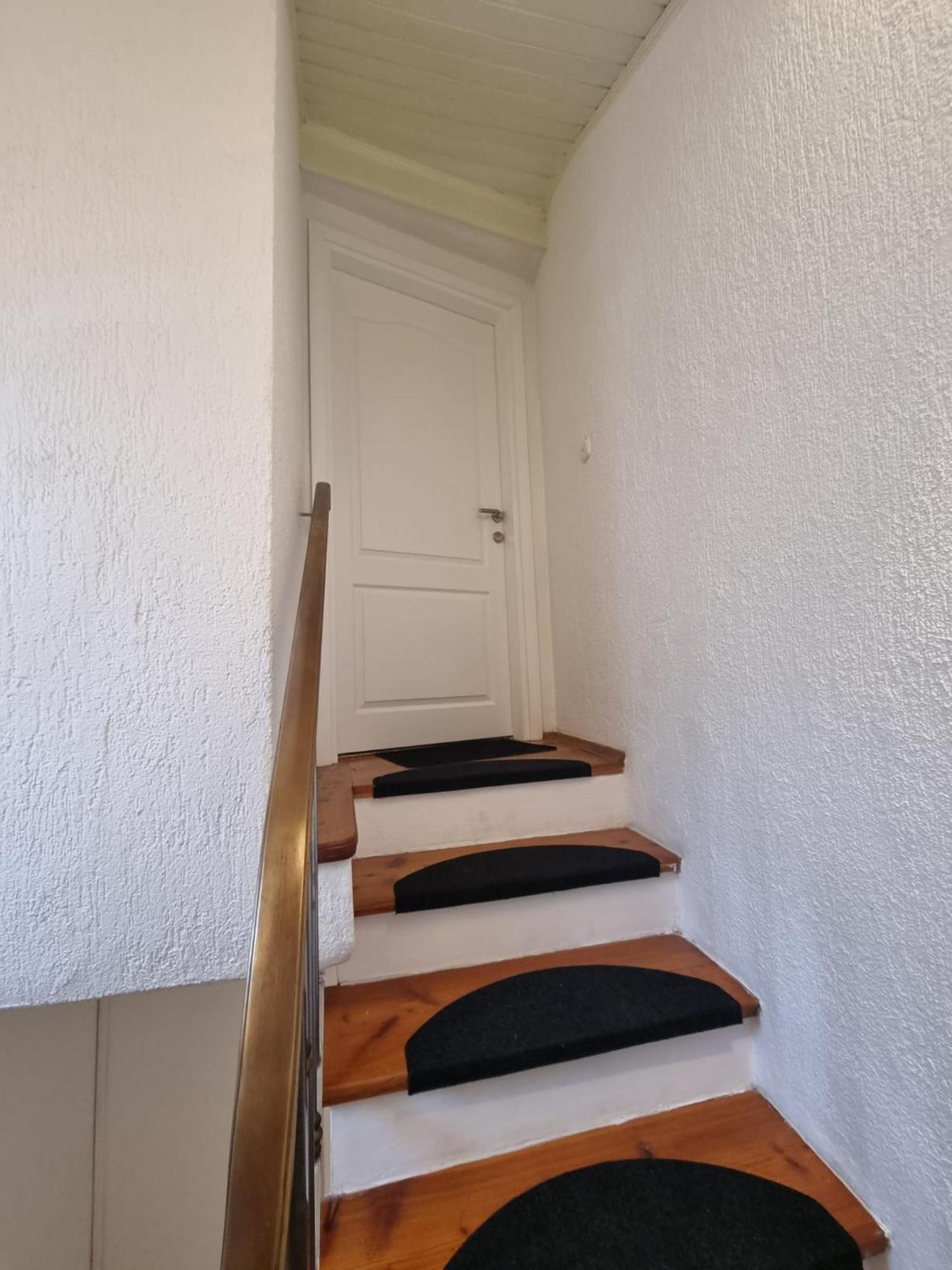 Lion Guest house