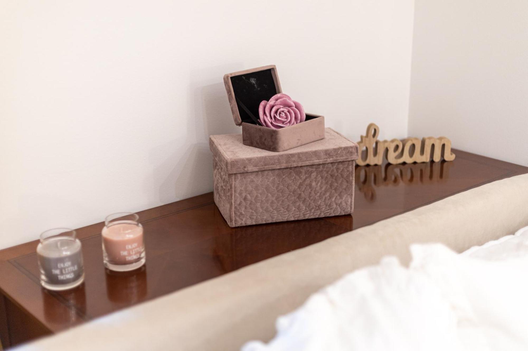 Camellia- Cozy Apartment