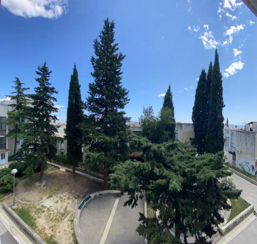 2 Bedroom Apartment/parking/market Apartment