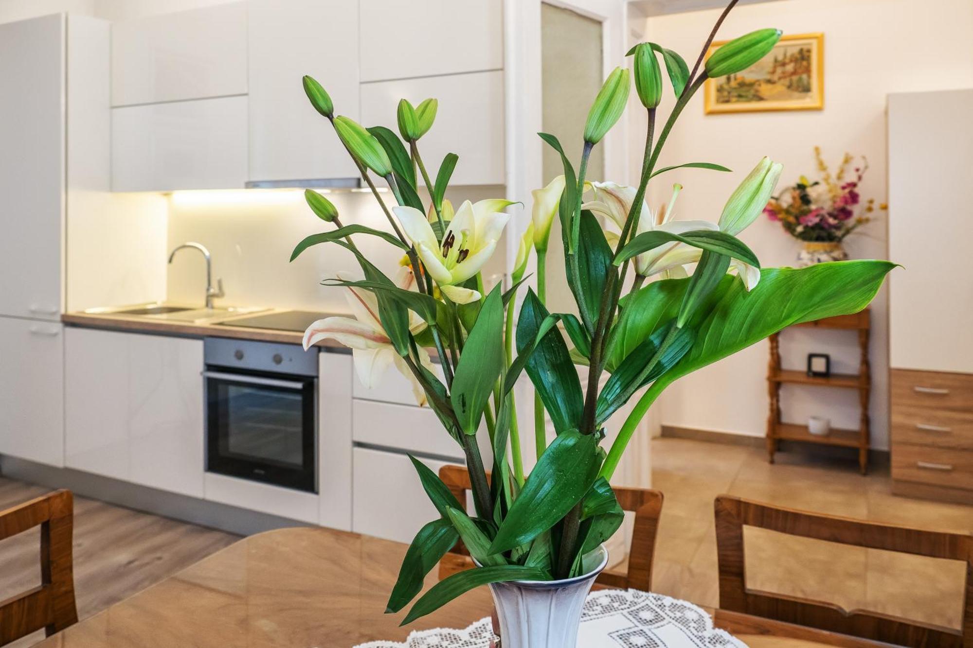 Center Secession Charm Near National Theatre Apartment Split
