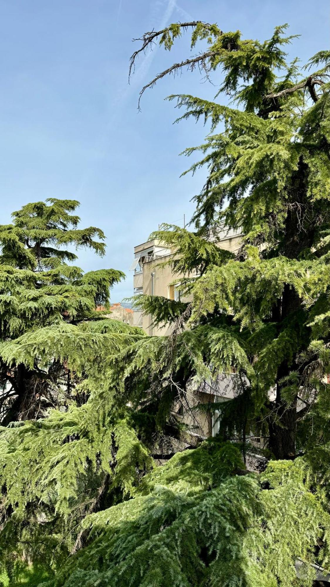 Jardin * Split
