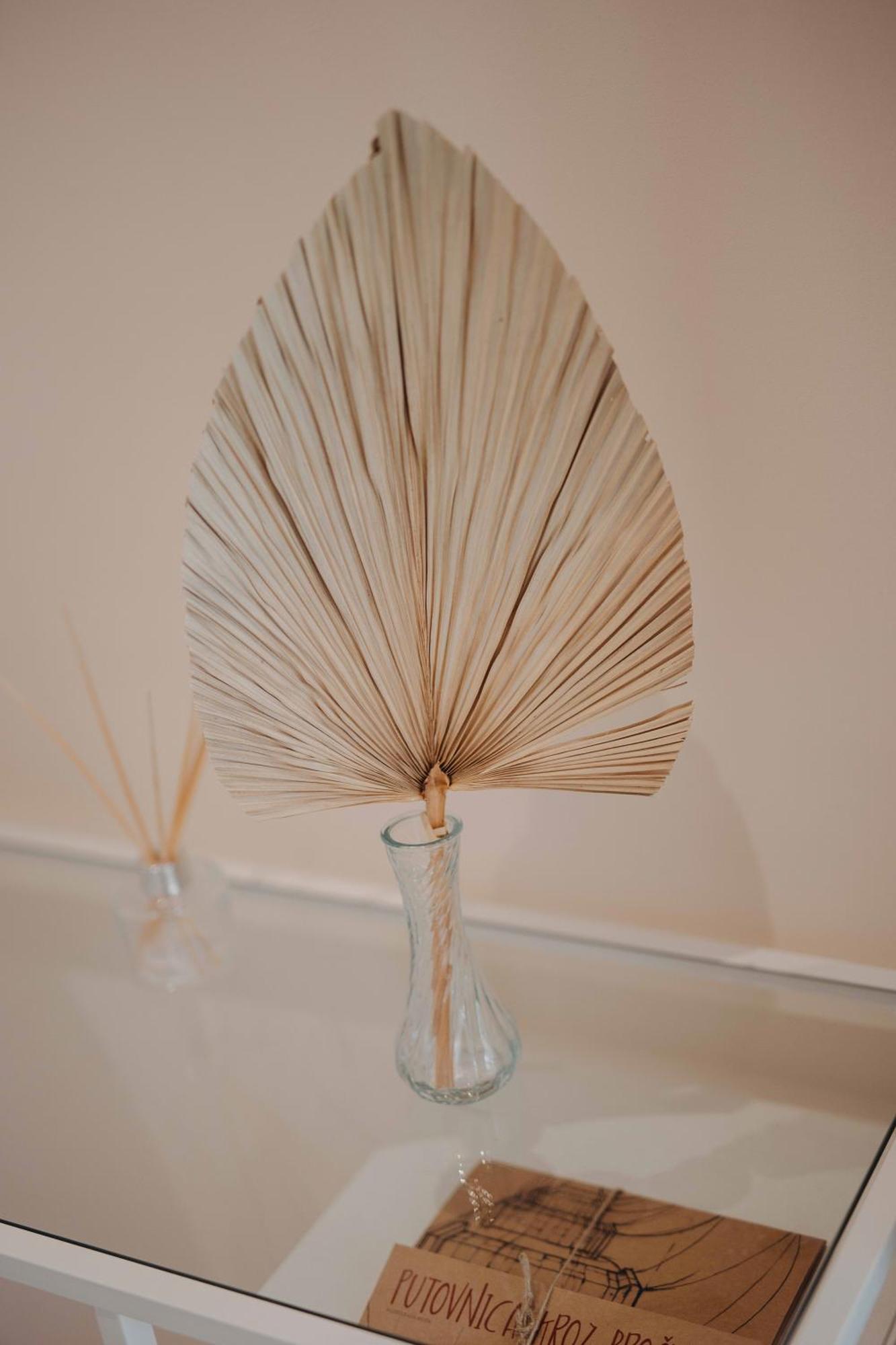 Apartment Seashell *