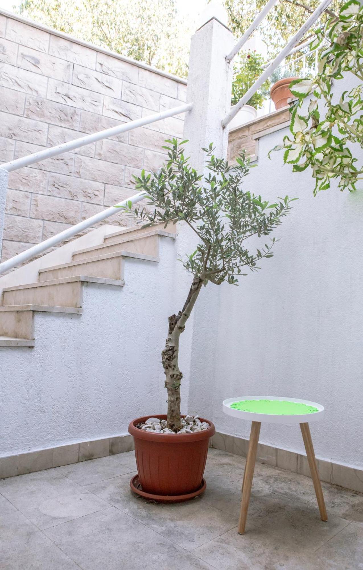 Studios Lavender Guest house