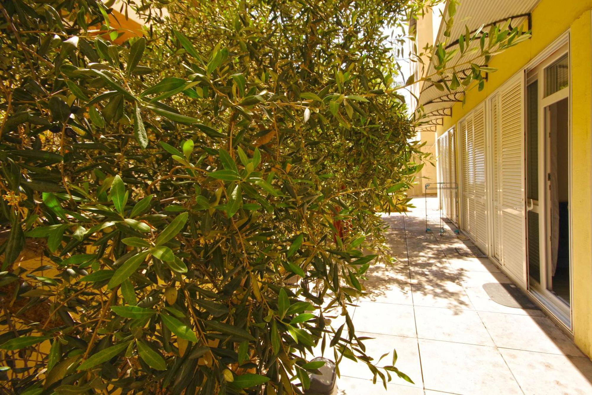 Campus *