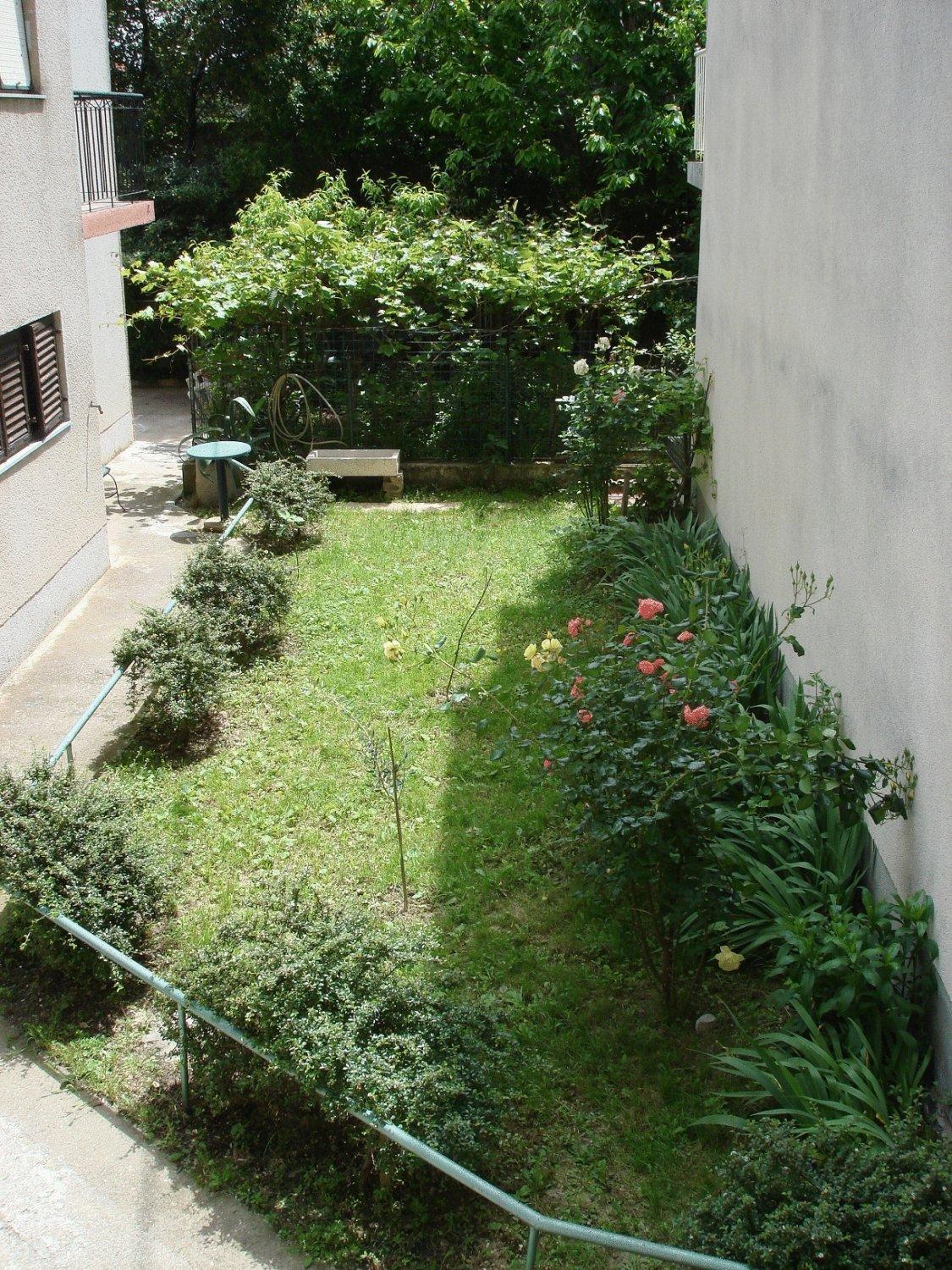 Firule Center