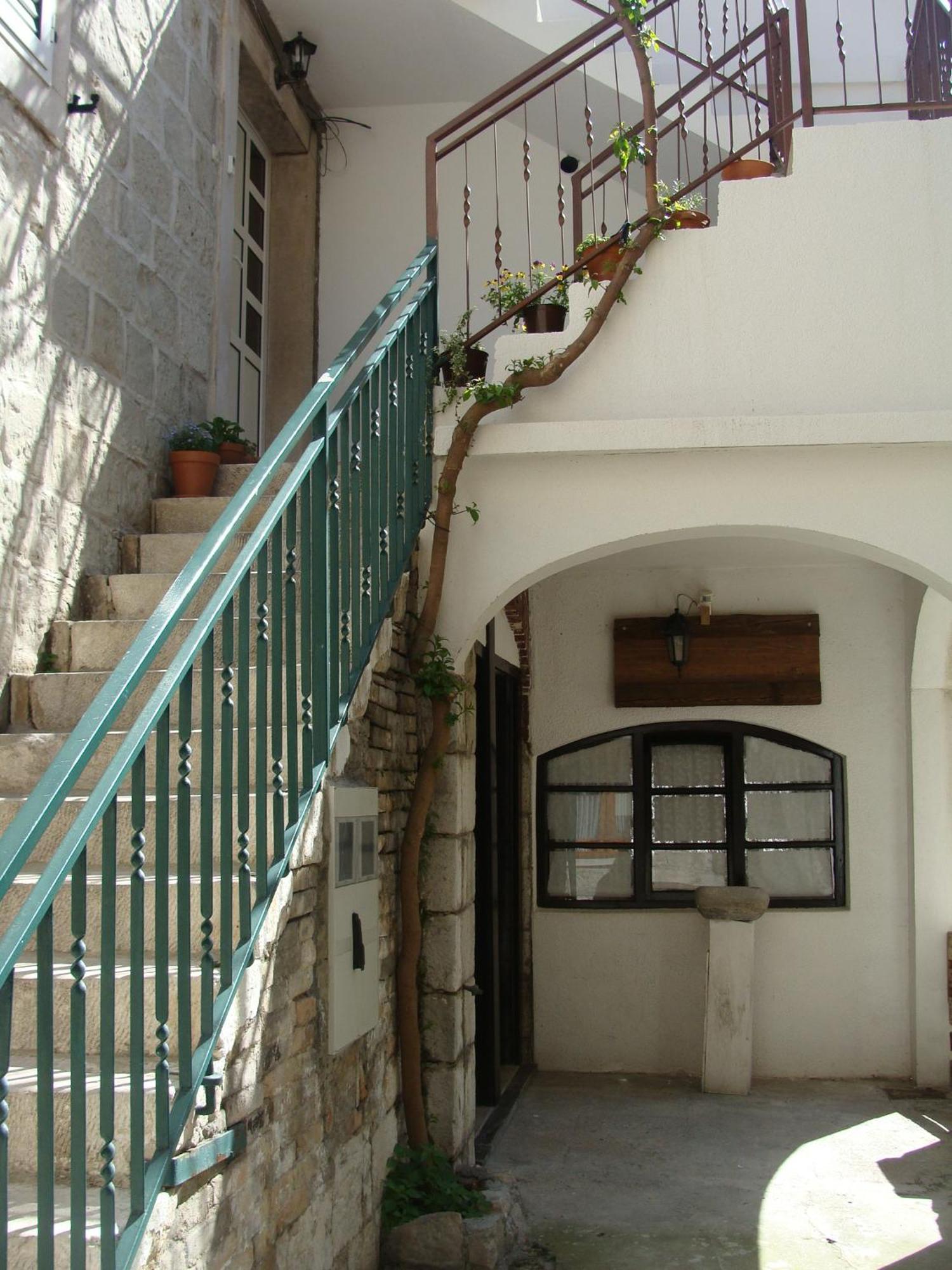 Guest house Elena 3*