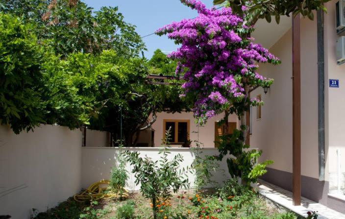 Appartement Beautiful Sandy *