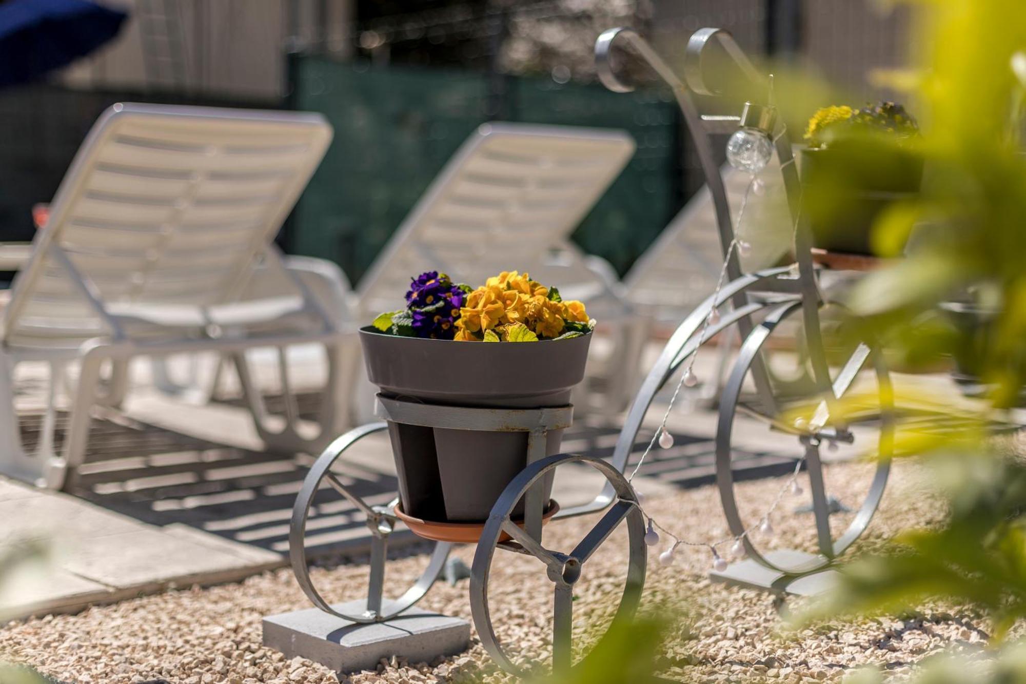 Apartment Dalmatian 230m2 With Pool And Garden Near The Old Town For Families *